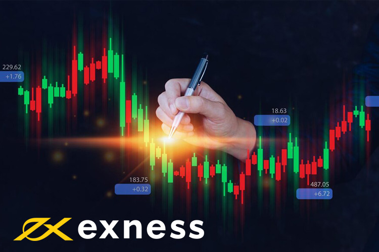 Acerca de la plataforma de trading Exness en Argentina