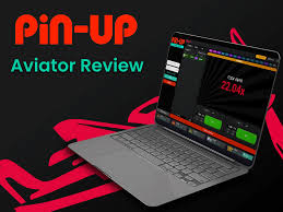 Pin-Up Online Casino Evaluation