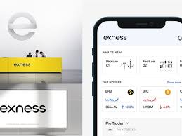 Comprehensive Guide to Exness Trading