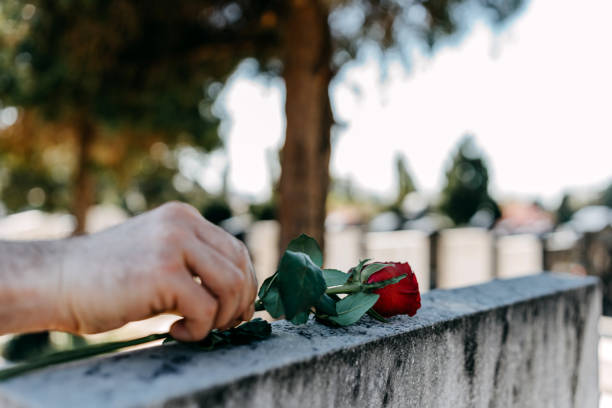 Just how does the SofiaDate online dating site job?